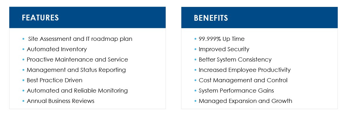 5_Steps_to_Expect_When_Engaging_with_LDI_s_Managed_IT_Services-04